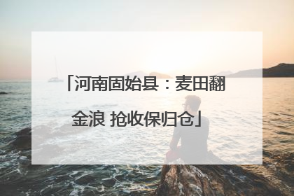 河南固始县：麦田翻金浪 抢收保归仓