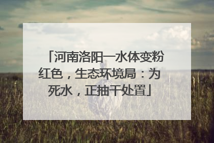 河南洛阳一水体变粉红色，生态环境局：为死水，正抽干处置
