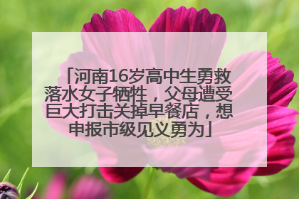 河南16岁高中生勇救落水女子牺牲，父母遭受巨大打击关掉早餐店，想申报市级见义勇为