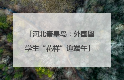 河北秦皇岛：外国留学生“花样”迎端午