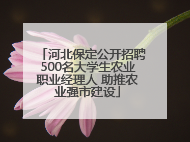河北保定公开招聘500名大学生农业职业经理人 助推农业强市建设