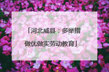 河北威县：多举措做优做实劳动教育