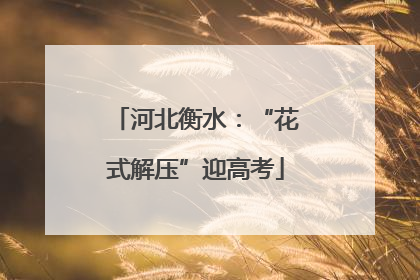 河北衡水：“花式解压”迎高考