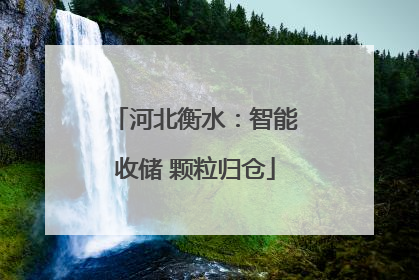 河北衡水：智能收储 颗粒归仓