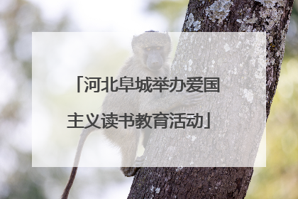河北阜城举办爱国主义读书教育活动