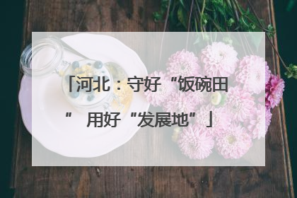 河北：守好“饭碗田” 用好“发展地”