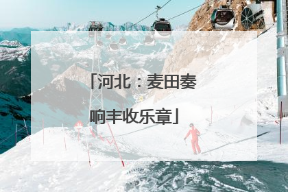 河北：麦田奏响丰收乐章
