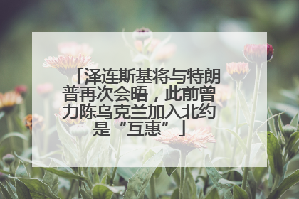 泽连斯基将与特朗普再次会晤，此前曾力陈乌克兰加入北约是“互惠”