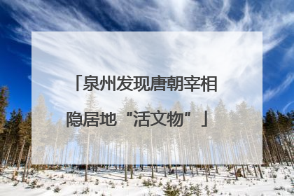 泉州发现唐朝宰相隐居地“活文物”