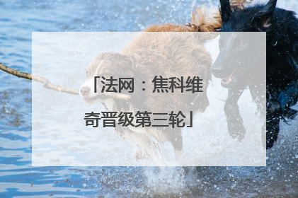 法网：焦科维奇晋级第三轮