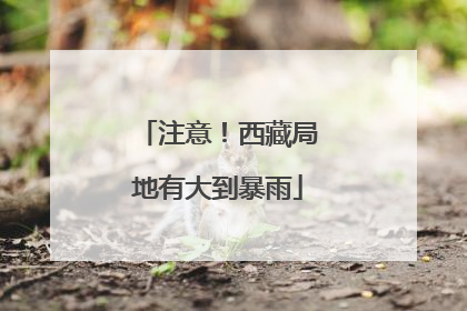注意！西藏局地有大到暴雨