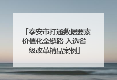 泰安市打通数据要素价值化全链路 入选省级改革精品案例