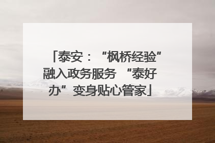 泰安：“枫桥经验”融入政务服务 “泰好办”变身贴心管家
