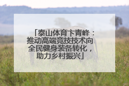 泰山体育卞青峰：推动高端竞技技术向全民健身装备转化，助力乡村振兴