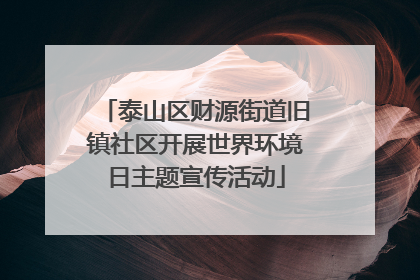 泰山区财源街道旧镇社区开展世界环境日主题宣传活动