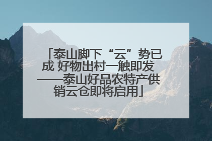 泰山脚下“云”势已成 好物出村一触即发——泰山好品农特产供销云仓即将启用
