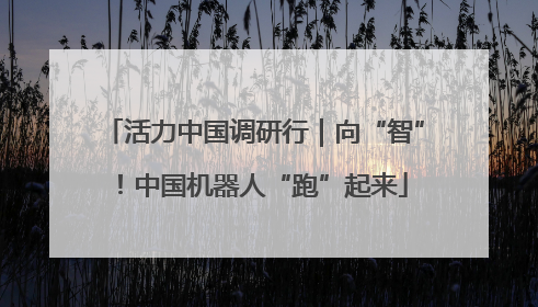 活力中国调研行｜向“智”！中国机器人“跑”起来