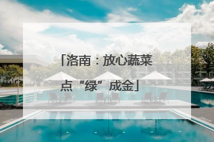 洛南：放心蔬菜点“绿”成金