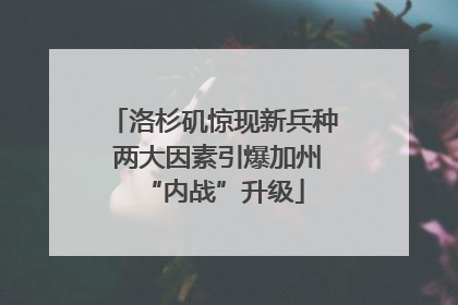 洛杉矶惊现新兵种 两大因素引爆加州“内战”升级
