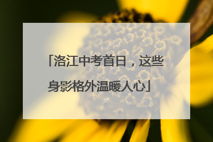 洛江中考首日，这些身影格外温暖人心