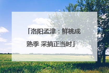 洛阳孟津：鲜桃成熟季 采摘正当时