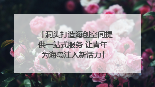 洞头打造海创空间提供一站式服务 让青年为海岛注入新活力