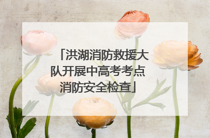 洪湖消防救援大队开展中高考考点消防安全检查