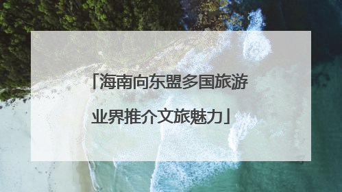 海南向东盟多国旅游业界推介文旅魅力