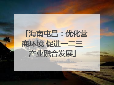 海南屯昌：优化营商环境 促进一二三产业融合发展