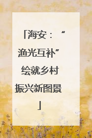 海安：“渔光互补” 绘就乡村振兴新图景