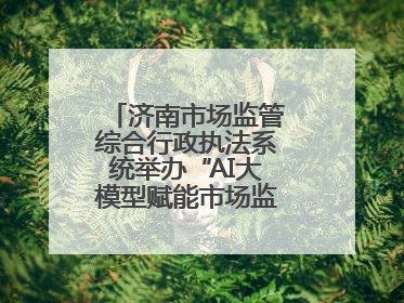 济南市场监管综合行政执法系统举办“AI大模型赋能市场监管”专题培训