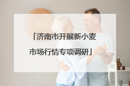 济南市开展新小麦市场行情专项调研