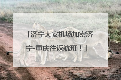 济宁大安机场加密济宁-重庆往返航班！