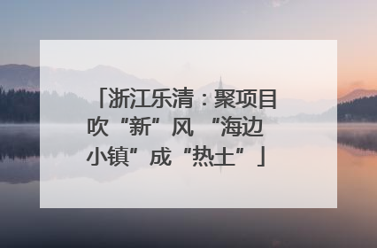 浙江乐清：聚项目吹“新”风 “海边小镇”成“热土”