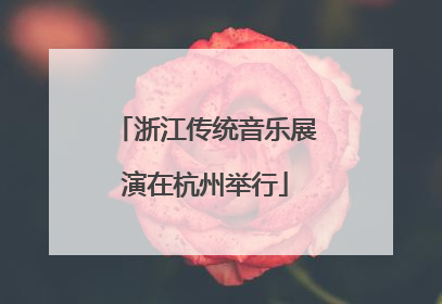 浙江传统音乐展演在杭州举行
