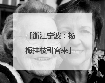 浙江宁波：杨梅挂枝引客来