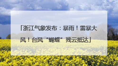 浙江气象发布：暴雨！雷暴大风！台风“蝴蝶”残云抵达