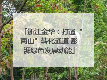 浙江金华：打通“两山”转化通道 澎湃绿色发展动能