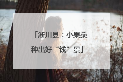 淅川县：小果桑种出好“钱”景