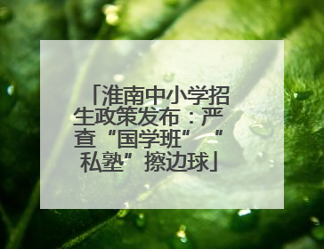 淮南中小学招生政策发布：严查“国学班”“私塾”擦边球