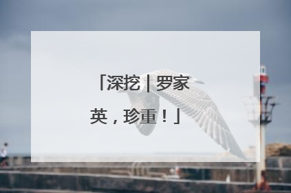 深挖｜罗家英，珍重！