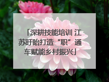 深耕技能培训 江苏盱眙打造“职”通车赋能乡村振兴