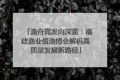 渔舟竞发向深蓝：福建渔业借渔博会解码高质量发展新路径