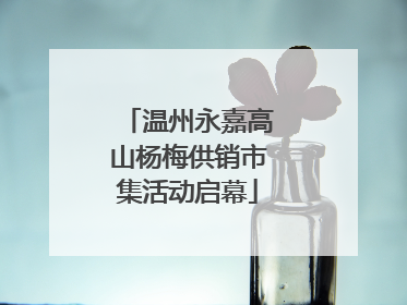温州永嘉高山杨梅供销市集活动启幕