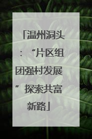 温州洞头：“片区组团强村发展”探索共富新路