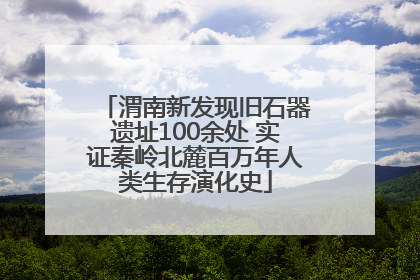 渭南新发现旧石器遗址100余处 实证秦岭北麓百万年人类生存演化史
