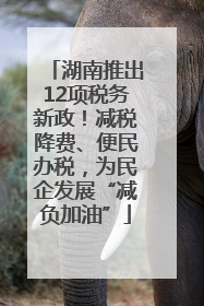 湖南推出12项税务新政！减税降费、便民办税，为民企发展“减负加油”