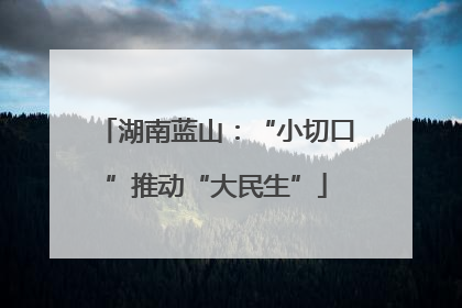 湖南蓝山：“小切口”推动“大民生”
