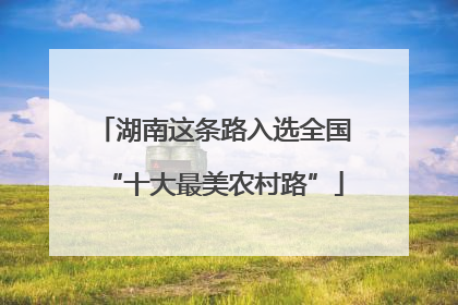 湖南这条路入选全国“十大最美农村路”