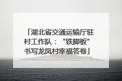 湖北省交通运输厅驻村工作队：“铁脚板”书写龙凤村幸福答卷